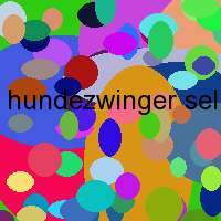 hundezwinger selbst bauen